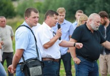 Nawożenie i pielęgnacja truskawek po skoszeniu liści – FILM