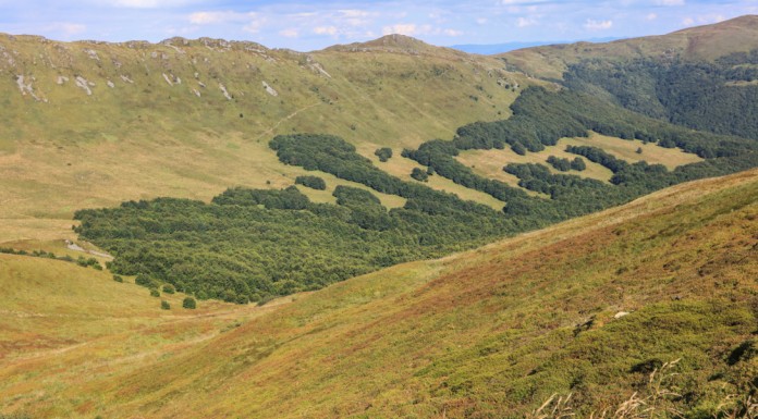 Jagodowe Bieszczady