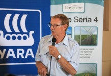 Fytoftora – zamieranie pędów malin