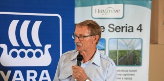 Fytoftora – zamieranie pędów malin