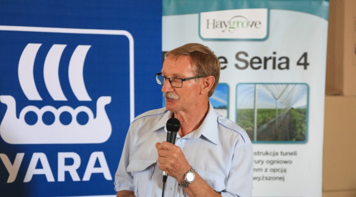 Fytoftora – zamieranie pędów malin