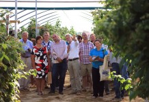 Wielki finał Malinowego Factory 2016 – FOTO