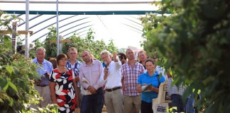 Wielki finał Malinowego Factory 2016 – FOTO