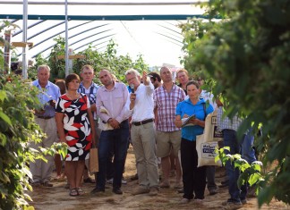 Wielki finał Malinowego Factory 2016 – FOTO