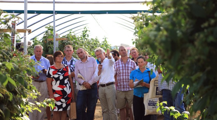 Wielki finał Malinowego Factory 2016 – FOTO