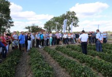 Letnie warsztaty Grupy Truskawkowej w Brodni Górnej (cz. I)