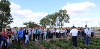 Letnie warsztaty Grupy Truskawkowej w Brodni Górnej (cz. I)