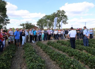Letnie warsztaty Grupy Truskawkowej w Brodni Górnej (cz. I)