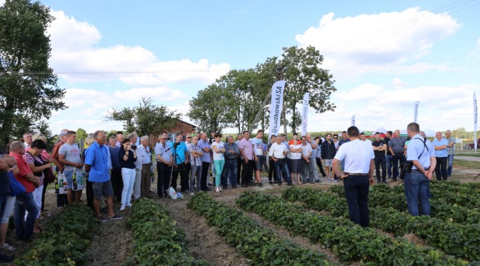 Letnie warsztaty Grupy Truskawkowej w Brodni Górnej (cz. I)