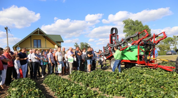 Opryskiwacz do truskawek z PSP