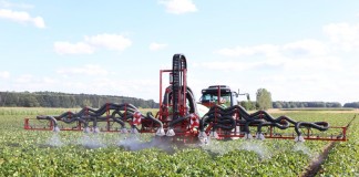 Ochrona truskawek – podsumowanie i rekomendacje podczas LWGT