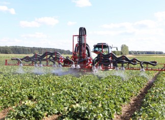 Ochrona truskawek – podsumowanie i rekomendacje podczas LWGT
