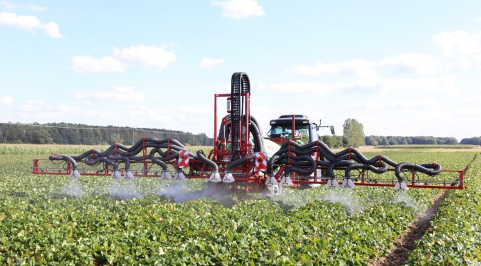 Ochrona truskawek – podsumowanie i rekomendacje podczas LWGT