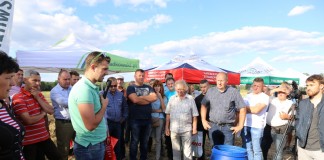 Kondycjonowanie sadzonek truskawki na LWGT