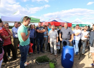 Kondycjonowanie sadzonek truskawki na LWGT