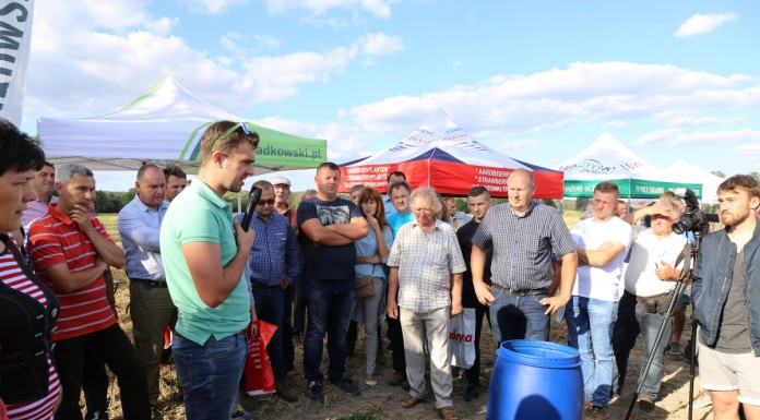 Kondycjonowanie sadzonek truskawki na LWGT