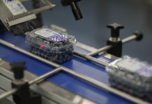 Borówkowy sezon 2016 okiem handlowca