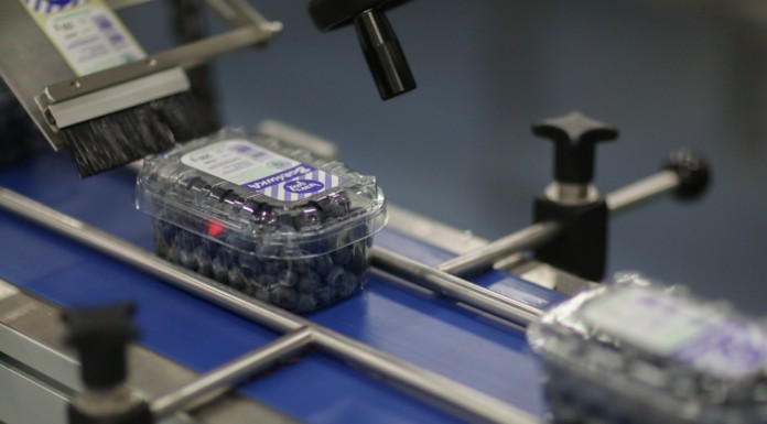 Borówkowy sezon 2016 okiem handlowca