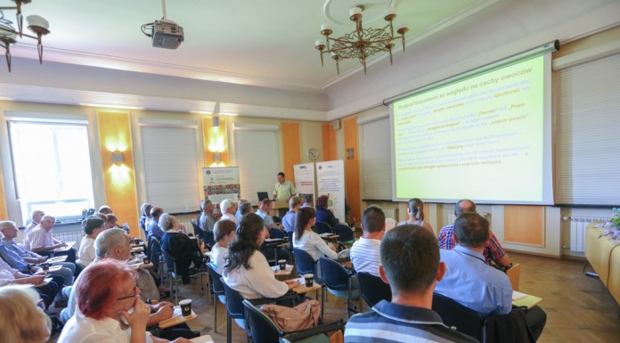 Uprawa jagody kamczackiej w Polsce, cz. I