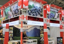 Asia Fruit Logistica z rosnącym potencjałem owoców jagodowych