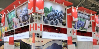 Asia Fruit Logistica z rosnącym potencjałem owoców jagodowych