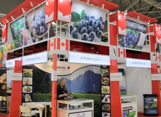 Asia Fruit Logistica z rosnącym potencjałem owoców jagodowych