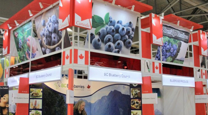 Asia Fruit Logistica z rosnącym potencjałem owoców jagodowych