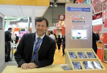 Produkcja borówek w Chile stabilnie rośnie