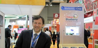 Produkcja borówek w Chile stabilnie rośnie