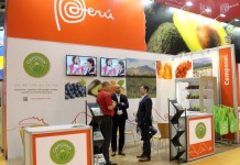 Peru główny dostawcą borówek do USA w 2021 r.