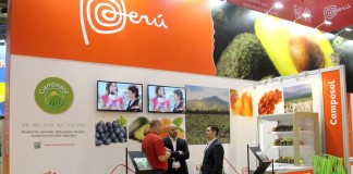 Peru główny dostawcą borówek do USA w 2021 r.