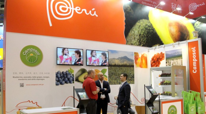 Peru główny dostawcą borówek do USA w 2021 r.