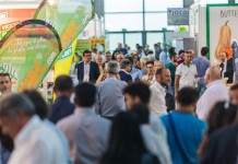 Targi Macfrut 2016 – podsumowanie i plany na przyszłość