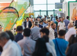 Targi Macfrut 2016 – podsumowanie i plany na przyszłość