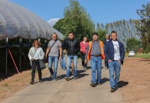 Malinowa ekspedycja do Wielkiej Brytanii