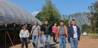 Malinowa ekspedycja do Wielkiej Brytanii