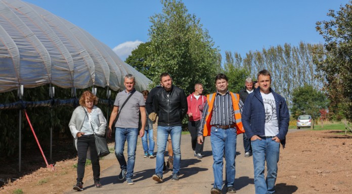 Malinowa ekspedycja do Wielkiej Brytanii