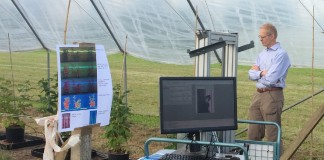 Analiza stanu roślin