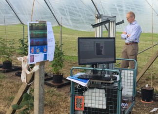 Analiza stanu roślin