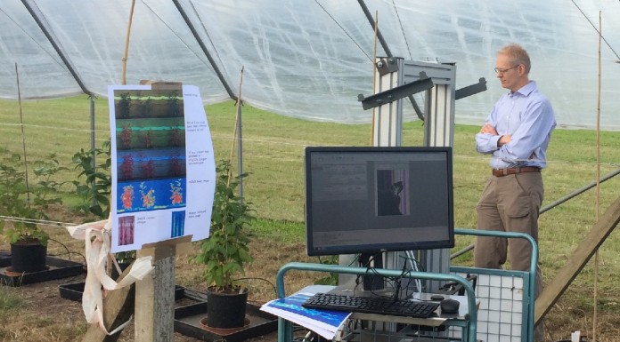 Analiza stanu roślin