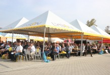 Dni Otwartych Drzwi w firmie Łysoń