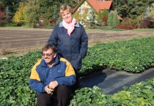 Wybrane odmiany truskawek w ocenie szkółkarza