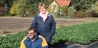 Wybrane odmiany truskawek w ocenie szkółkarza