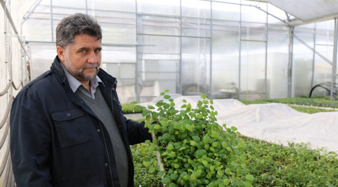 Rynkowo o sadzonkach borówki i jagody kamczackiej