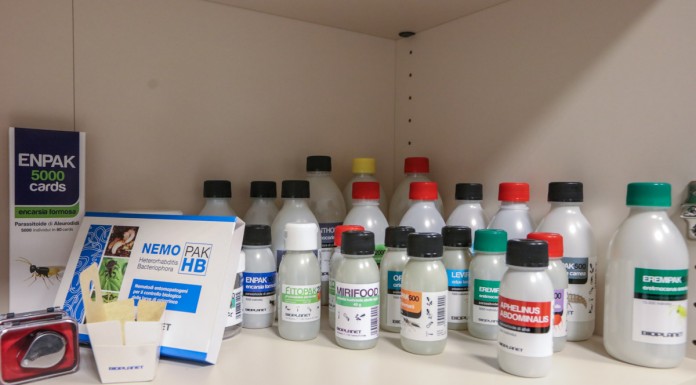 Biologiczne rozwiązania do walki ze szkodnikami