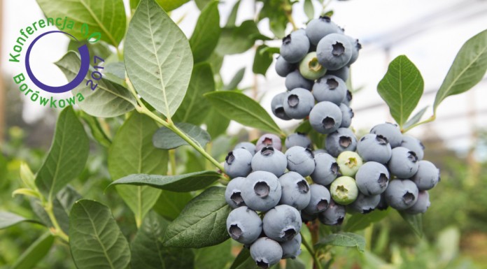 Konferencja Borówkowa 2017 – Postawmy na Jakość!