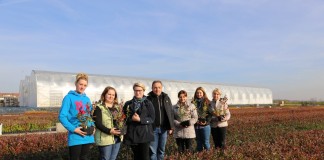 Specjalizacja – krzewy jagodowe