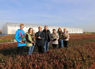 Specjalizacja – krzewy jagodowe