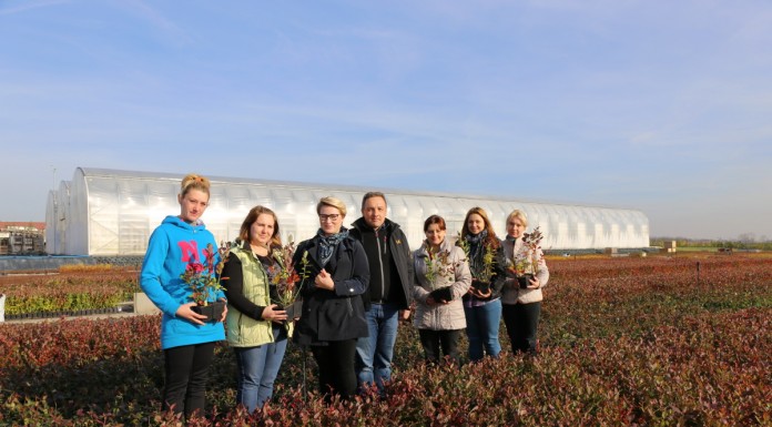 Specjalizacja – krzewy jagodowe