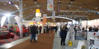 Rekordowe ExpoSE 2016